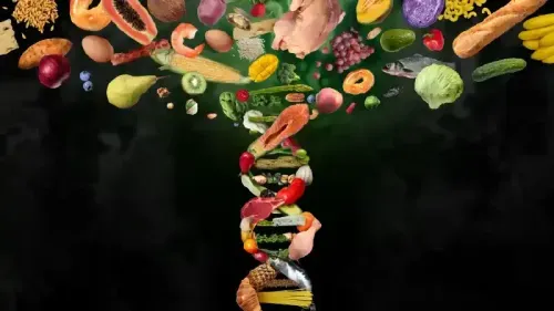 Health Impacts of Genetically Modified Foods